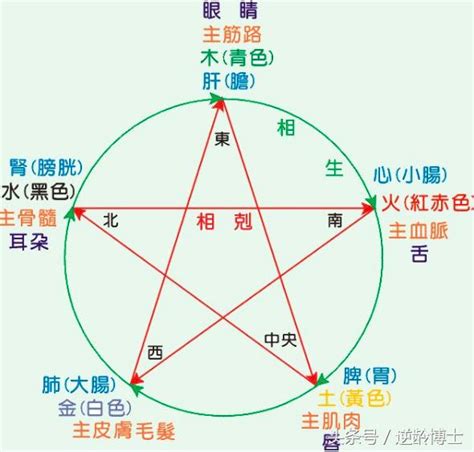 五行屬性怎麼看|教你快速查自己的五行屬性，入門篇（一看就 ...